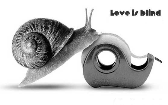Love_20is_20Blind_20_28VD_29.jpg