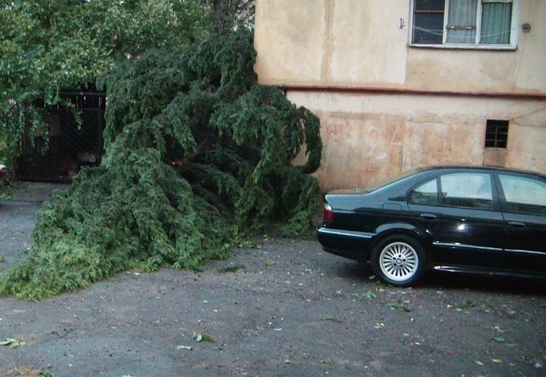 car.jpg