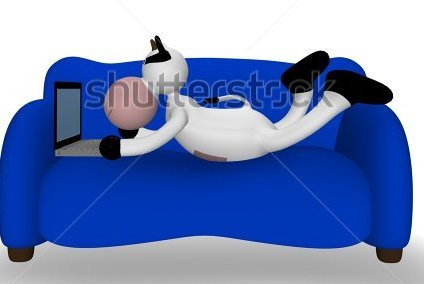 stock_photo_cow_to_the_computer_34404817.jpg