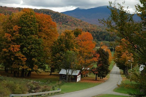 autumn_fall_road_trees_5d1492474ae551896a561f4da64e8dbd_h.jpg