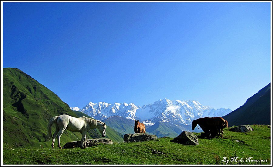 svaneti_shxara.jpg