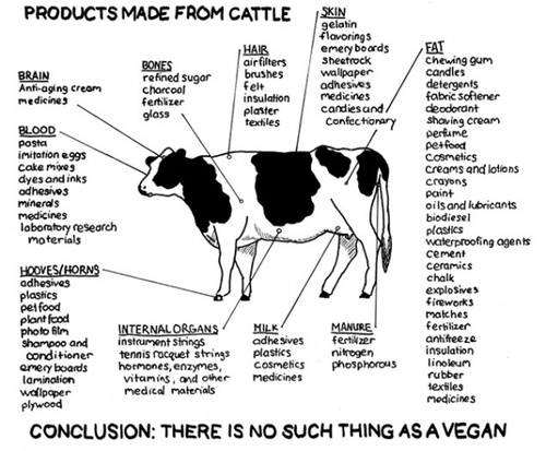 vegans_don__t_exist.jpg