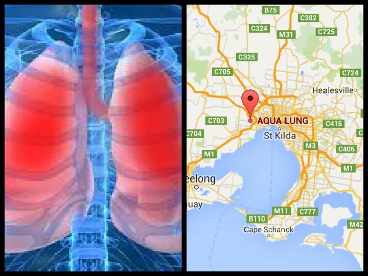 lung.jpg