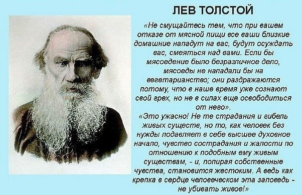1385016613_703cc4edb492b95c2aad1f8b312b1d60.jpg