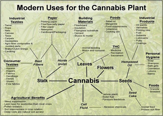 hemp.jpg