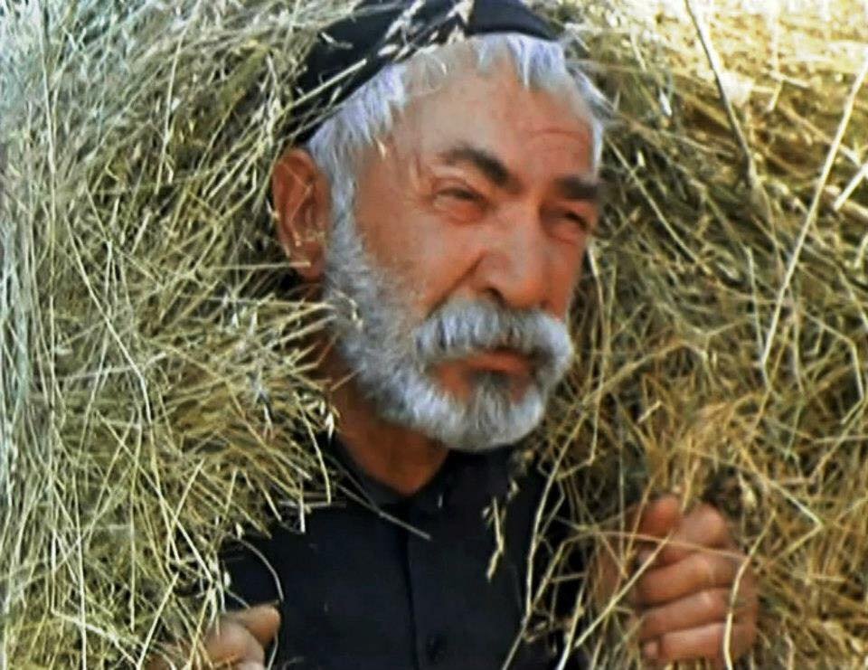 cicikore.jpg
