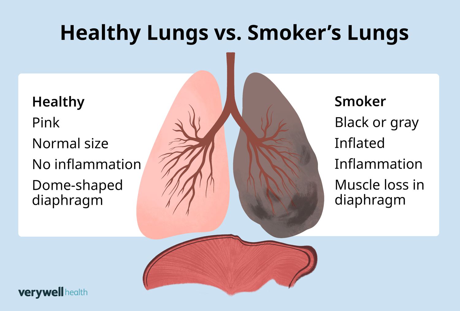 smokedlungs.jpg