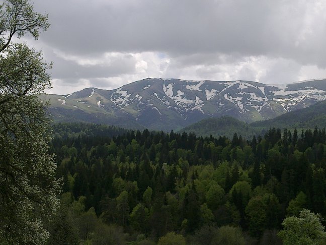 rsz_14052012220.jpg