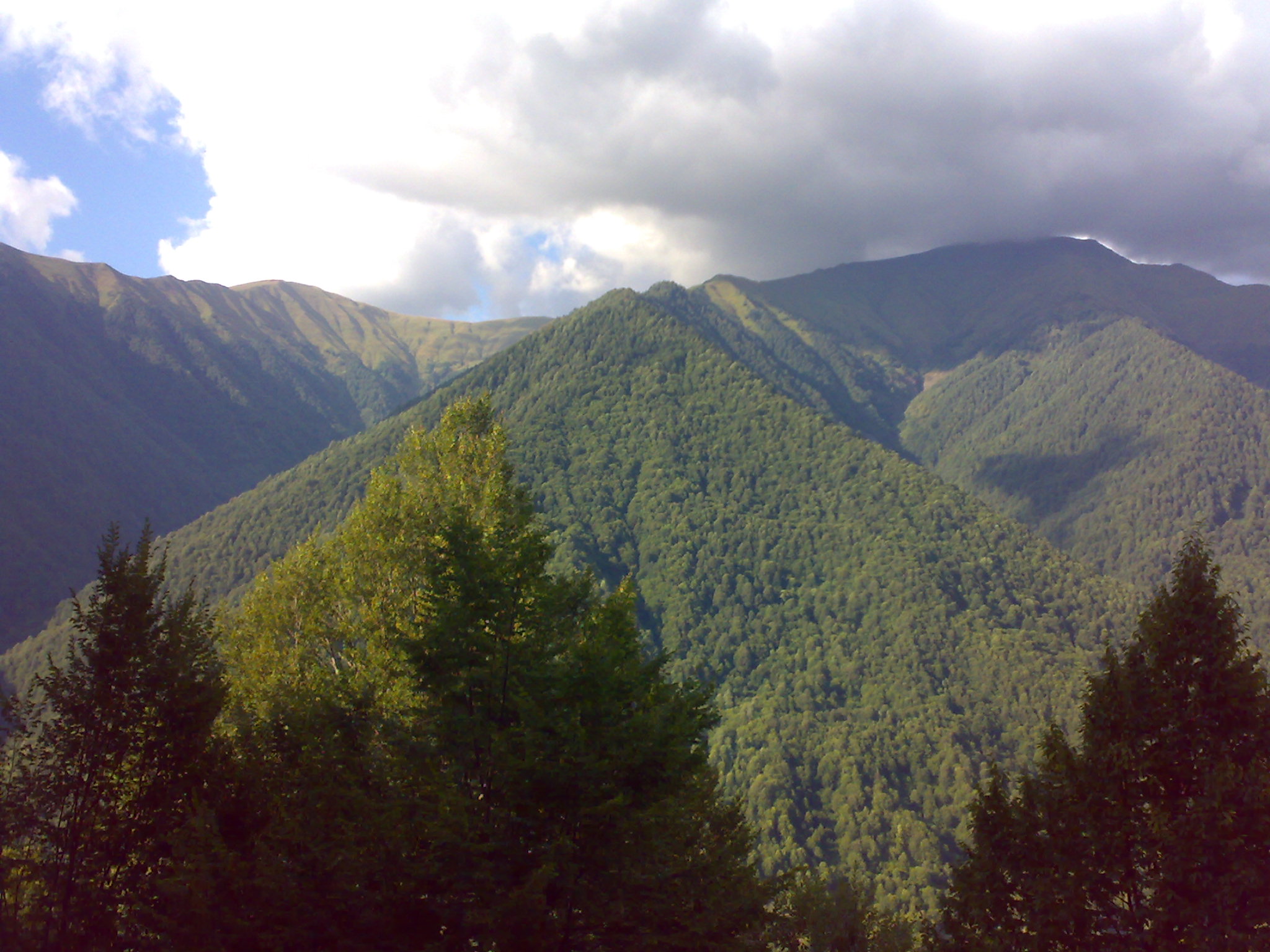 20100821907.jpg