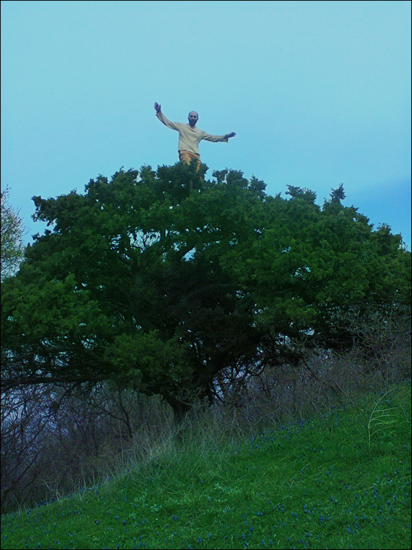 N0K000253a.jpg