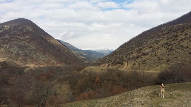 20150308_103959.jpg