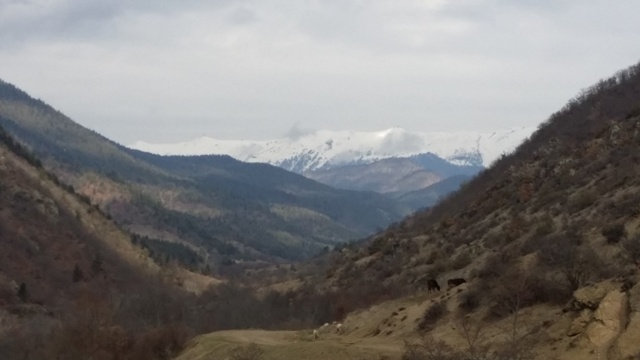 20150308_104006.jpg