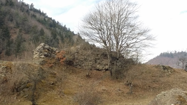 20150308_105810.jpg