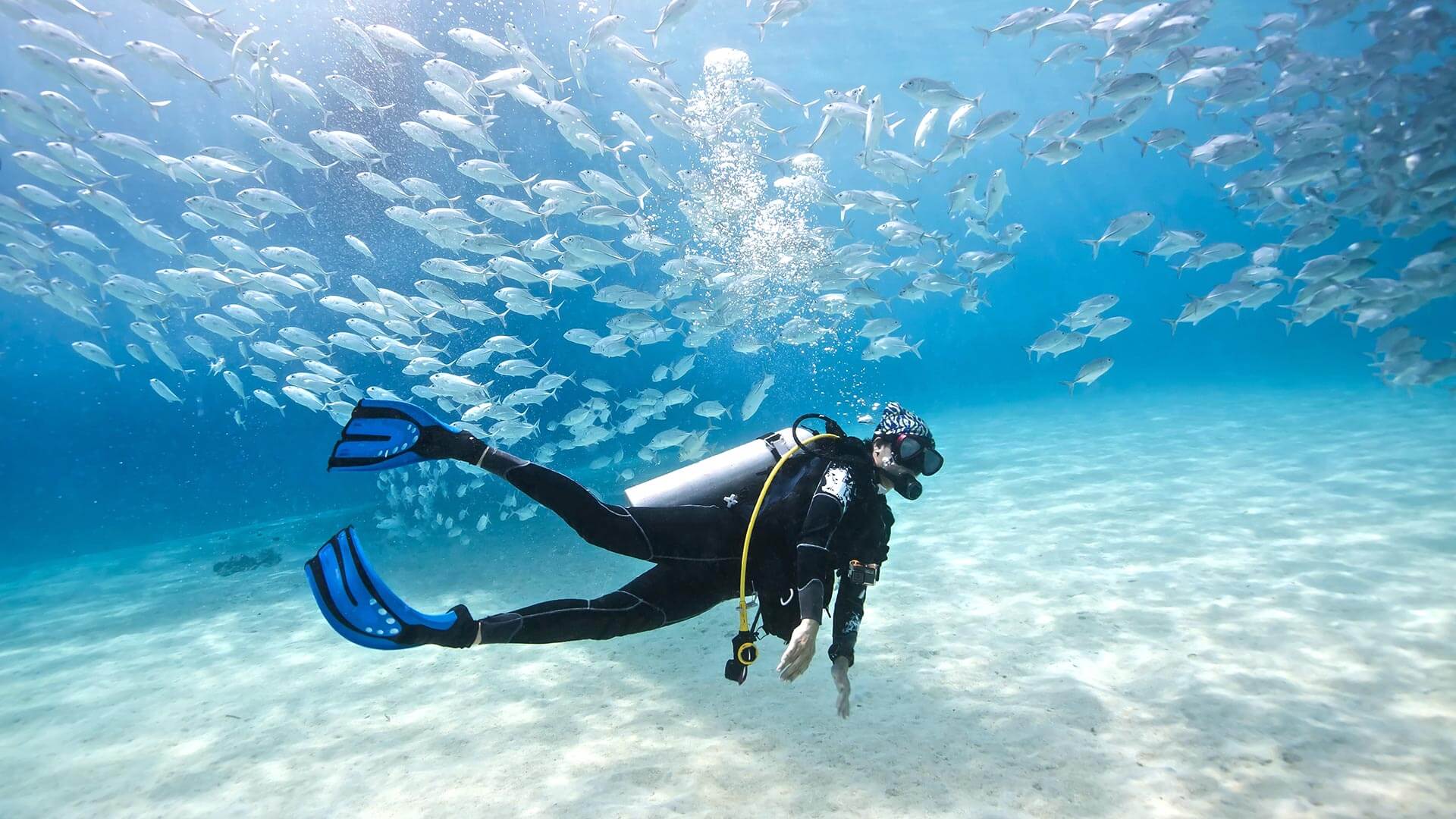 scuba_diving_phuket_with_aussie_divers.jpg