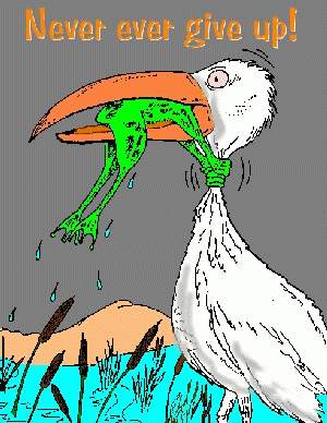 never_give_up.jpg
