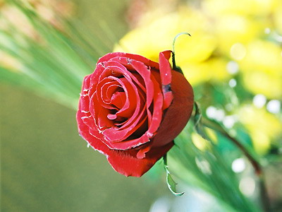 POTO_0191_.jpg