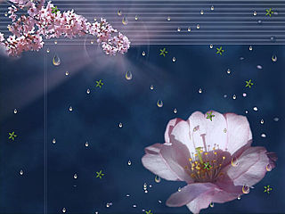 Kisses_In_The_Rain_Screensaver_1308.jpg