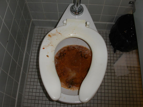 puketoilet_1.jpg