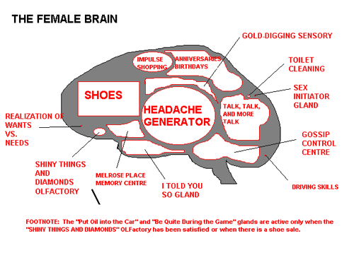 female_brain.gif
