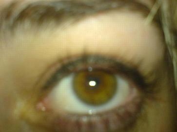 eye.jpg