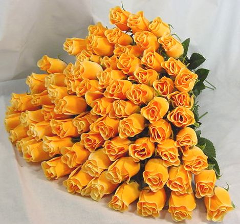 post_36_1152229095.jpg