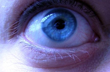 auge__Medium_.jpg