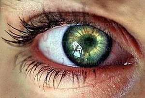 eye_green.jpg