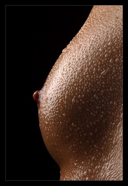 Pawe_B3_20Bor_F3wka.jpg
