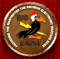 bigcrow_01.jpg