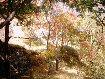 PHOT0246.jpg