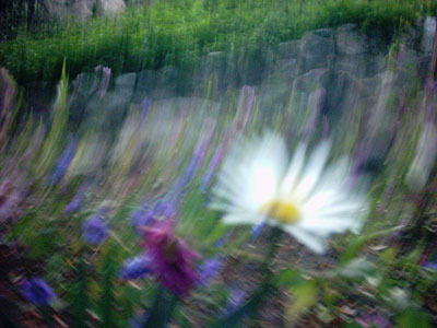 PHOT0179.jpg