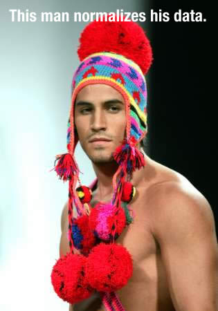 this_man_normalizes_his_data.jpg