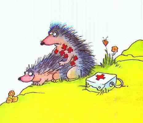 hedgehog.jpg