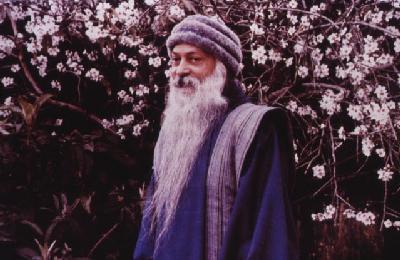 15523068_osho.jpg