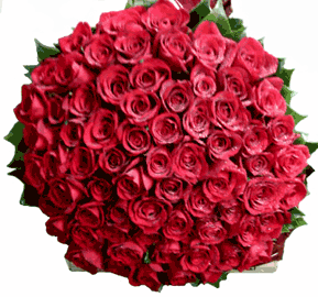 100_Red_Roses_basketINFO.gif