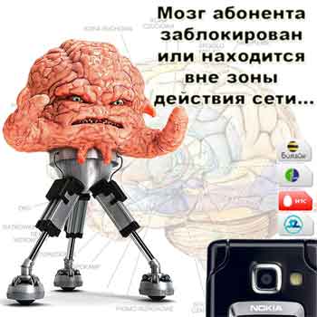 895096_mozg.jpg