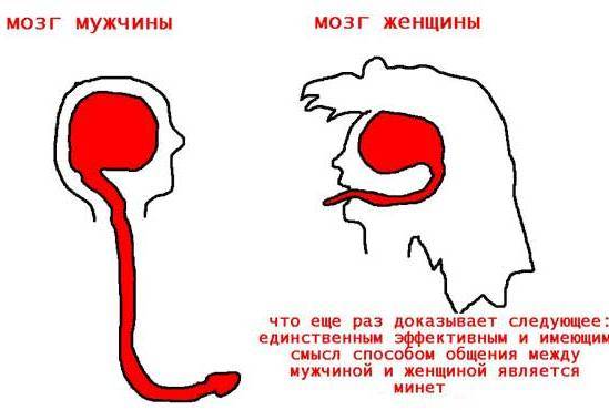 post_20_1213265333.jpg