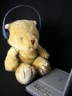 20070503_144503_Teddy_thum.jpg