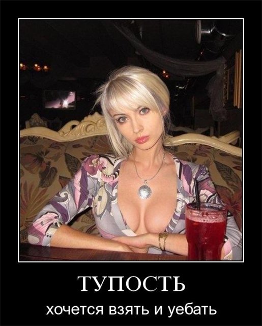 d4ad64a499a0.jpg