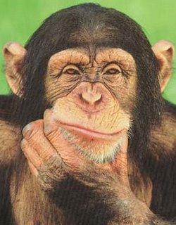 thinking_monkey1.jpg
