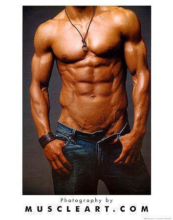 PO251Muscle_Art_Posters_main_Full.jpg