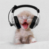 rocking_kitty_thumb.gif