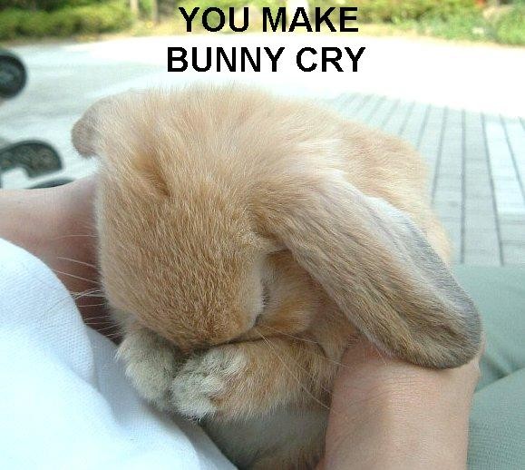 bunnysad.jpg