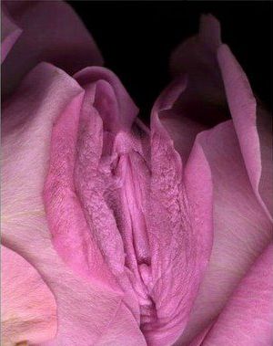 vagina_flowers_2.jpg