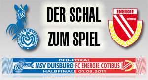 schal_pokal_hf_msv.jpg
