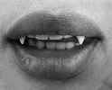 tumblr_kq146iiDEG1qzevvqo1_500_larg.jpg