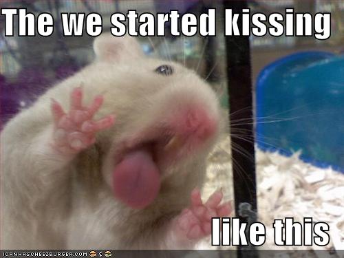 funny_pictures_hamster_kiss_glass.jpg