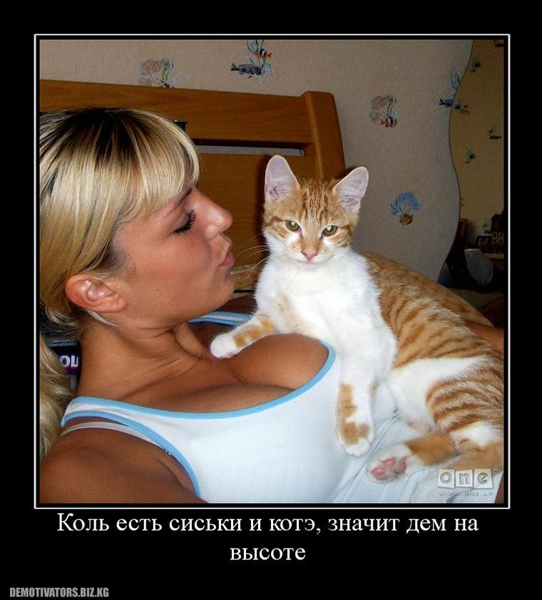 750272_kol_est_siski_i_kote_znachit_dem_na_vyisote.jpg