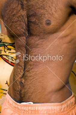 stock_photo_8686825_abdomen_and_hairy_chest.jpg