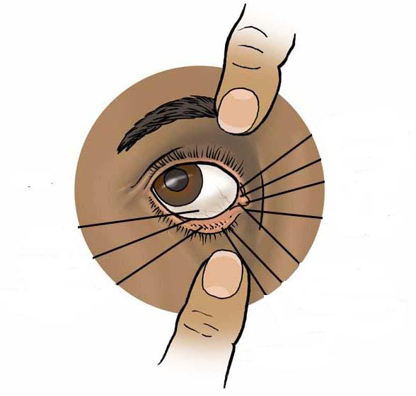 eyeB.jpg